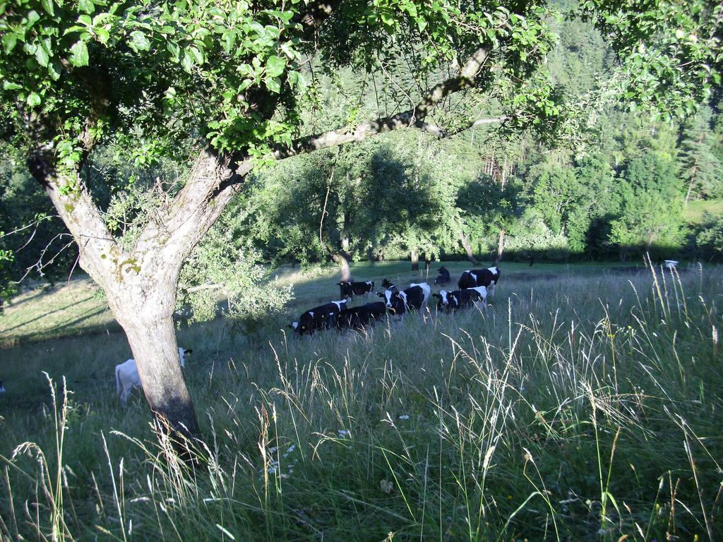 Farm Stay Zagar 모지례 외부 사진
