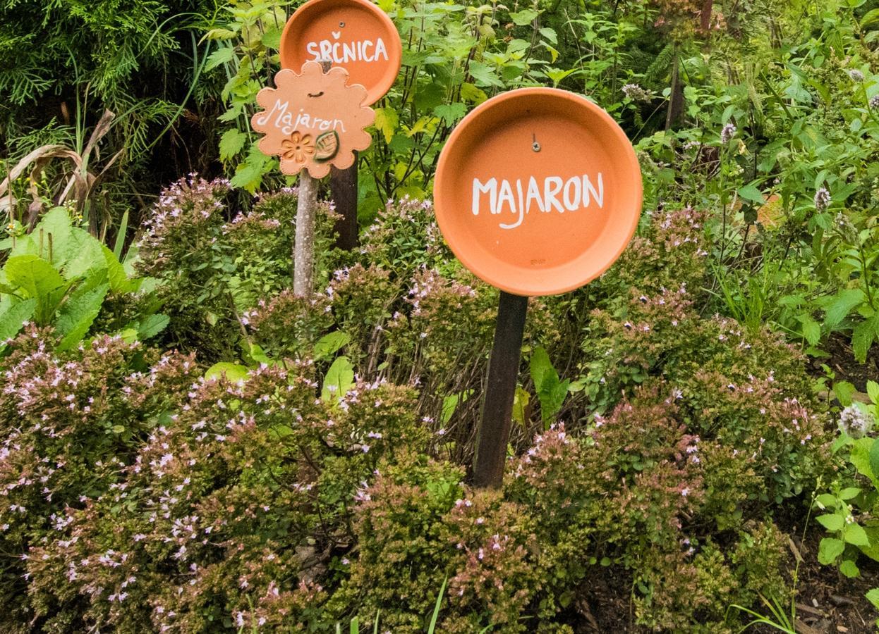 Farm Stay Zagar 모지례 외부 사진