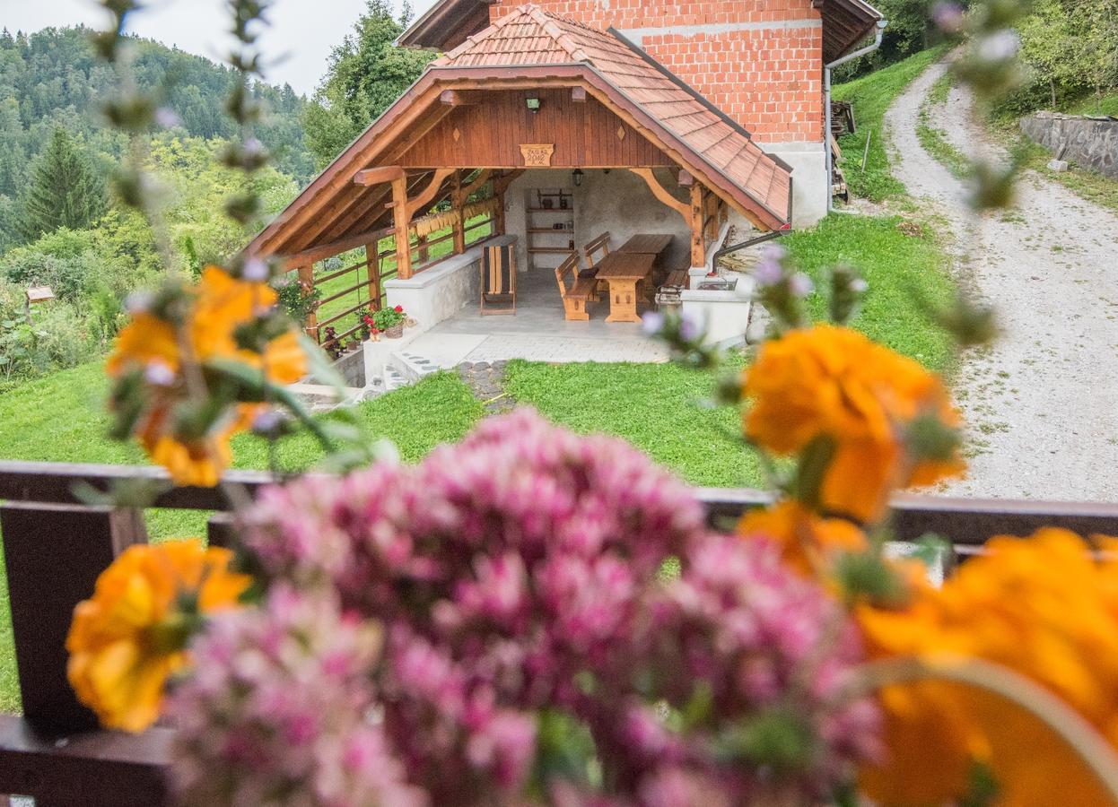 Farm Stay Zagar 모지례 외부 사진