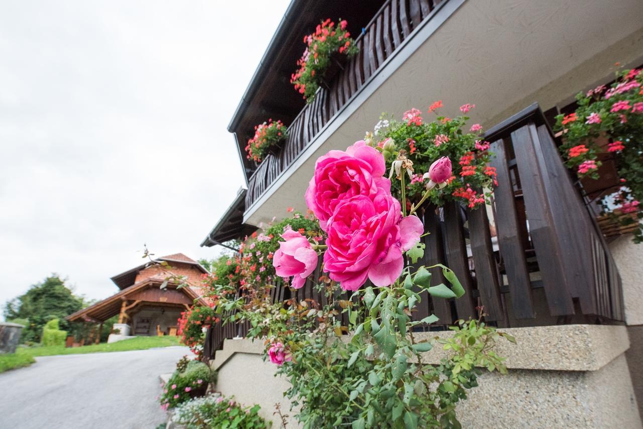 Farm Stay Zagar 모지례 외부 사진